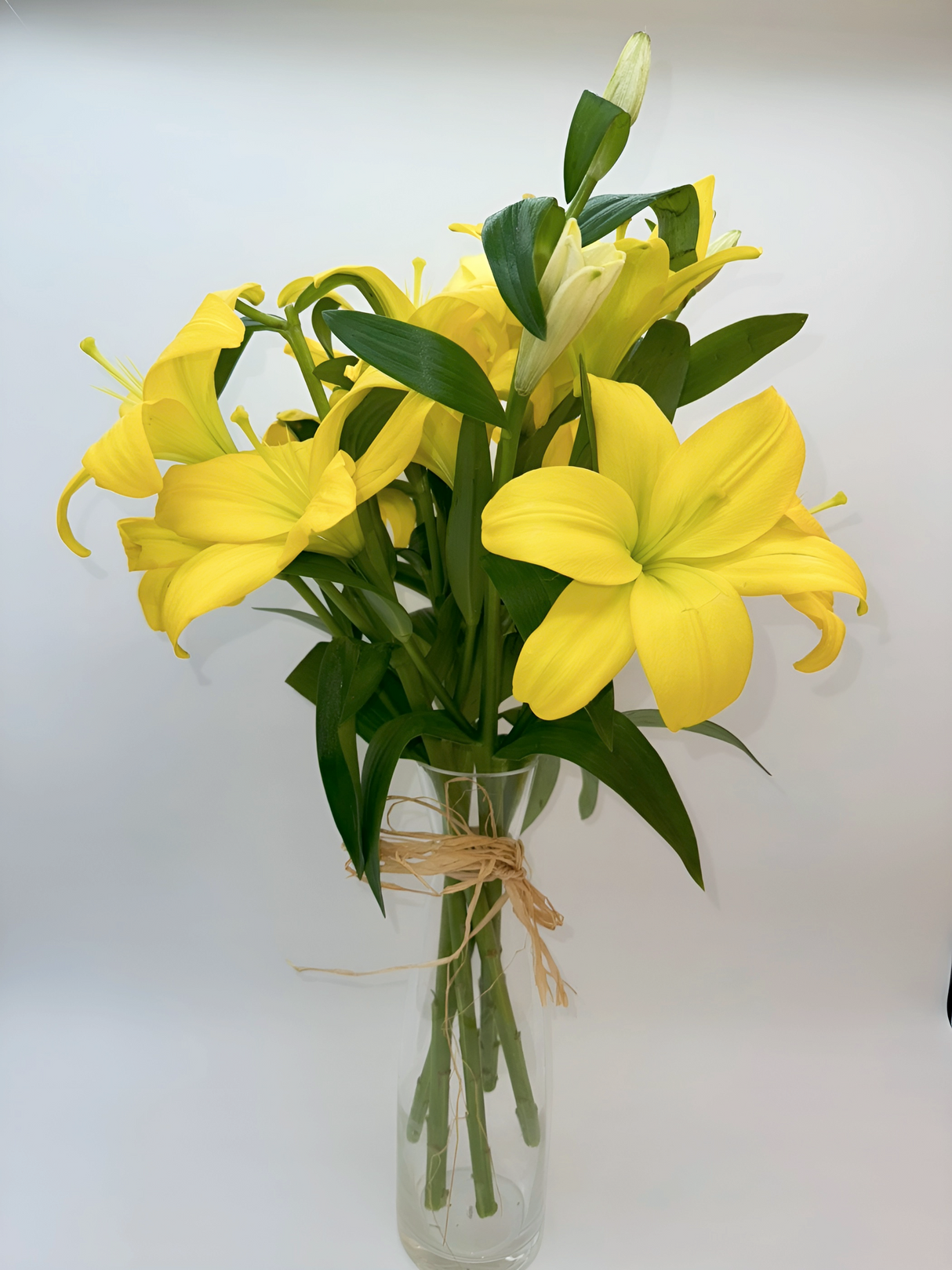 Lilium amarillo