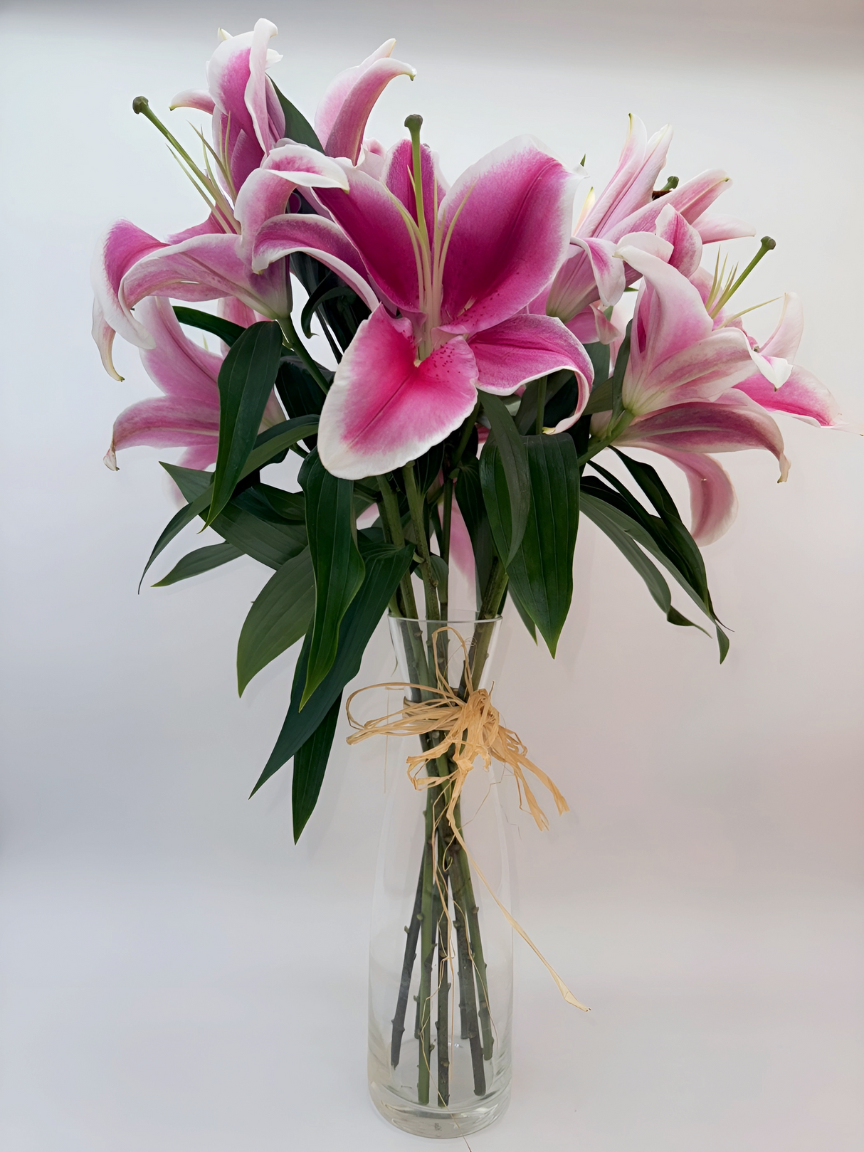 Lilium oriental