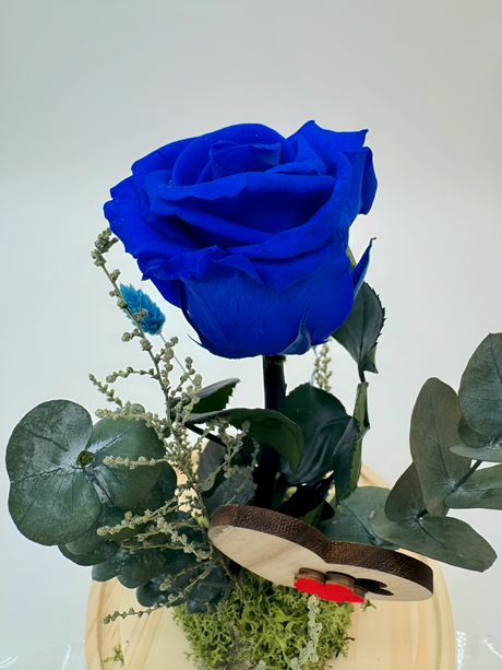 Rosa Eterna Azul