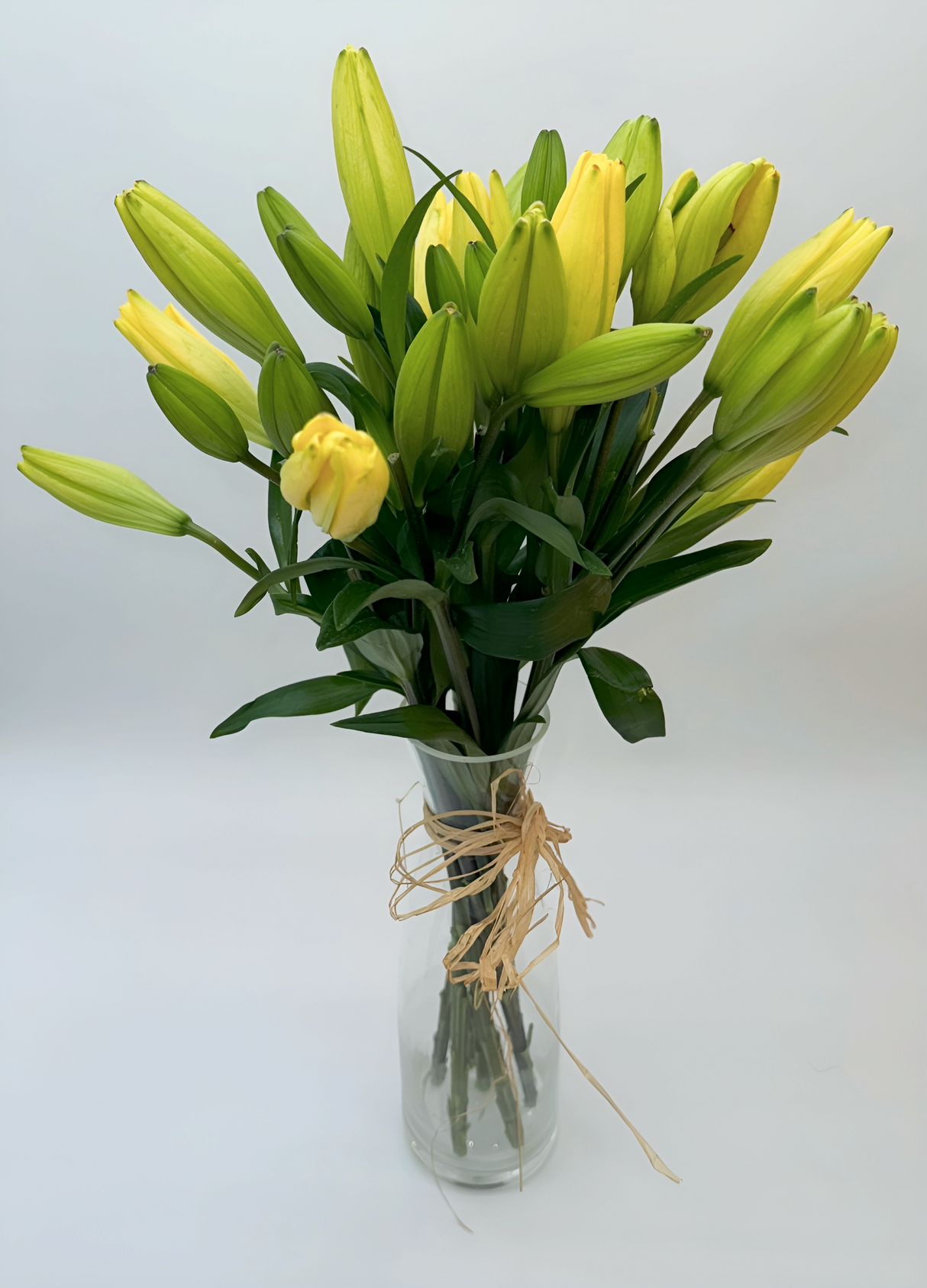 Lilium amarillo