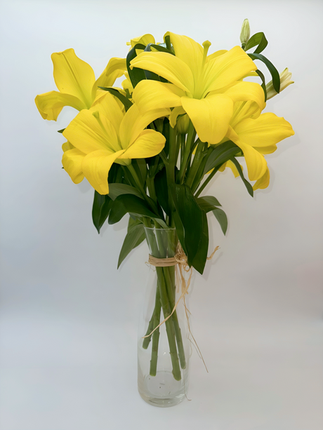 Lilium amarillo