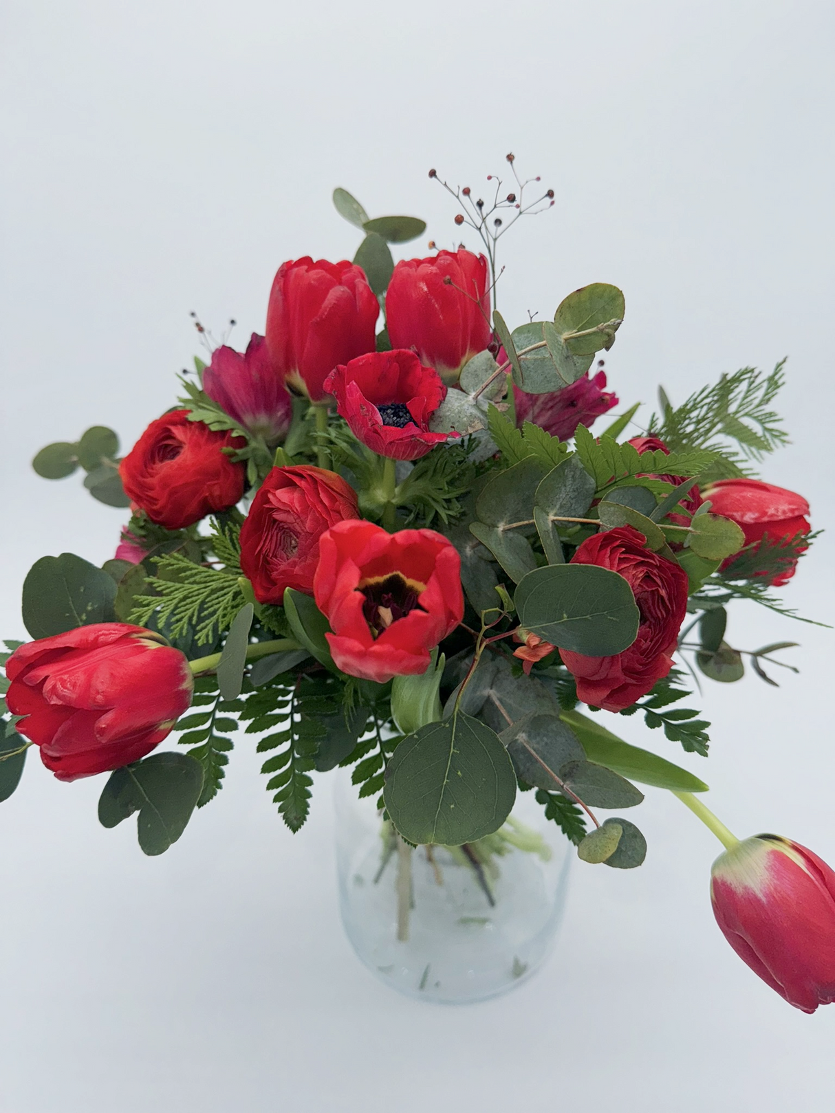 Red tulipa