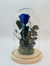 Rosa Eterna Azul