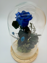 Rosa Eterna Azul